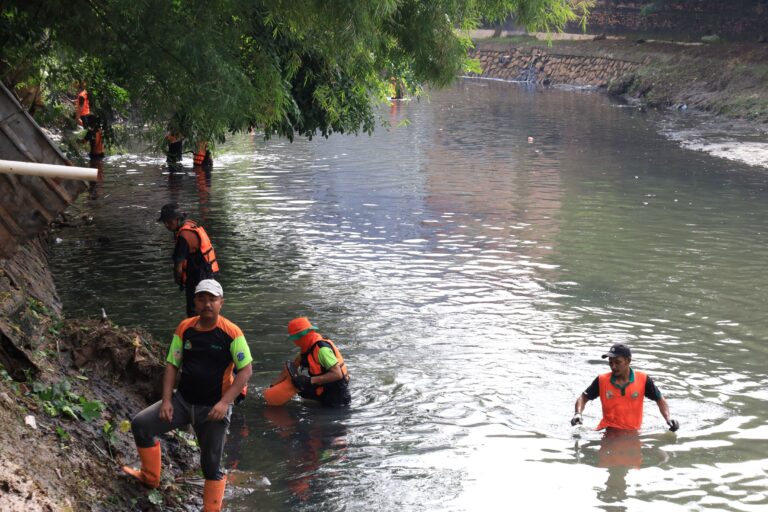 upaya mencegah banjir